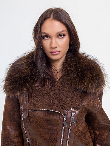 ������ ��� ������ (���-����)