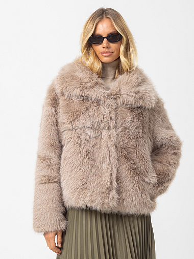 ���� ��� ������ ���.���